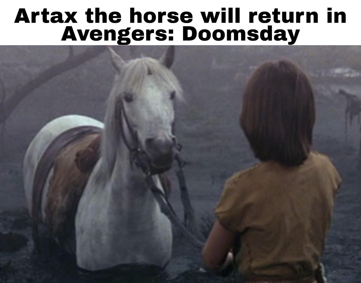 Resized_yrSSPa1.jpeg