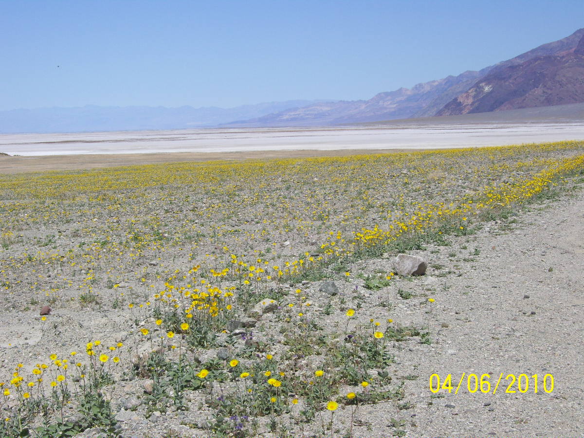 Badwater